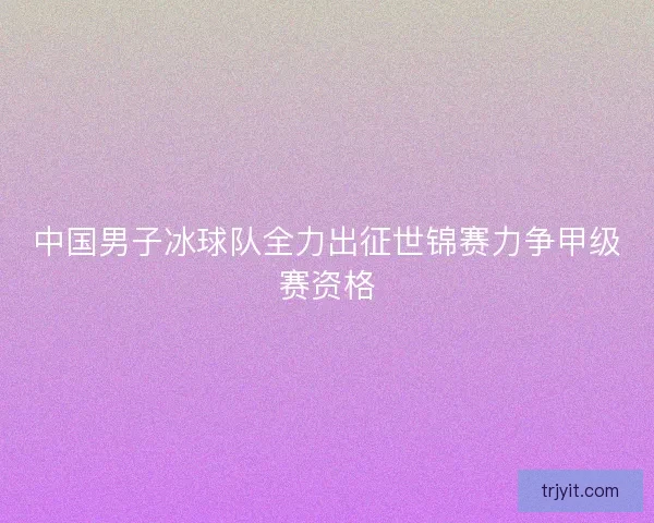 中国男子冰球队全力出征世锦赛力争甲级赛资格
